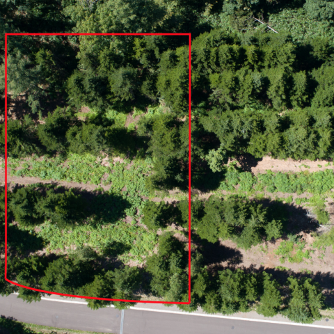 Screen Shot 2022-11-28 at 10.52.44 AM