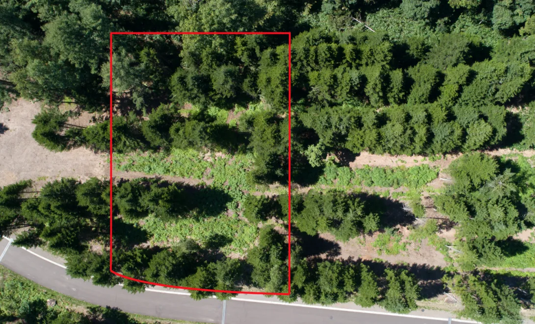 Screen Shot 2022-11-28 at 10.52.44 AM